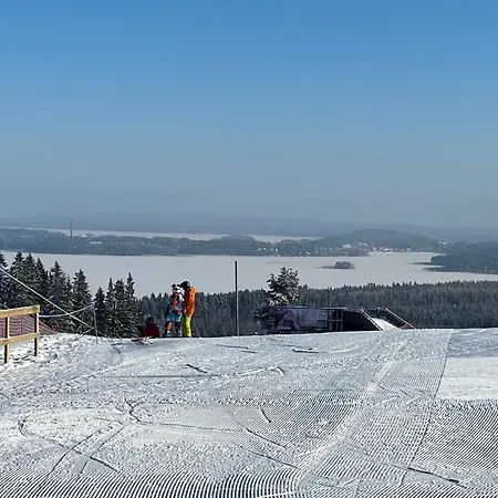 Lomariihi 8 Alpesi faház *